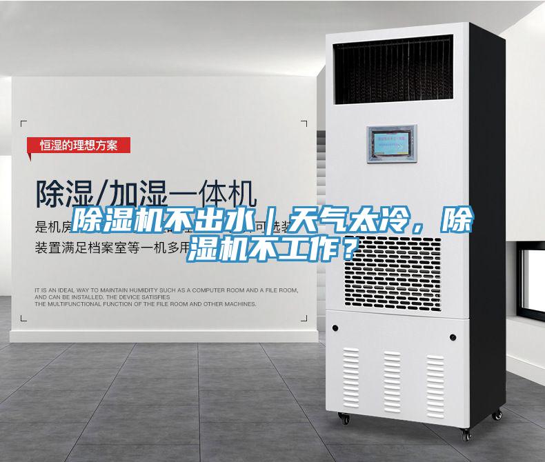 除濕機不出水｜天氣太冷，除濕機不工作？