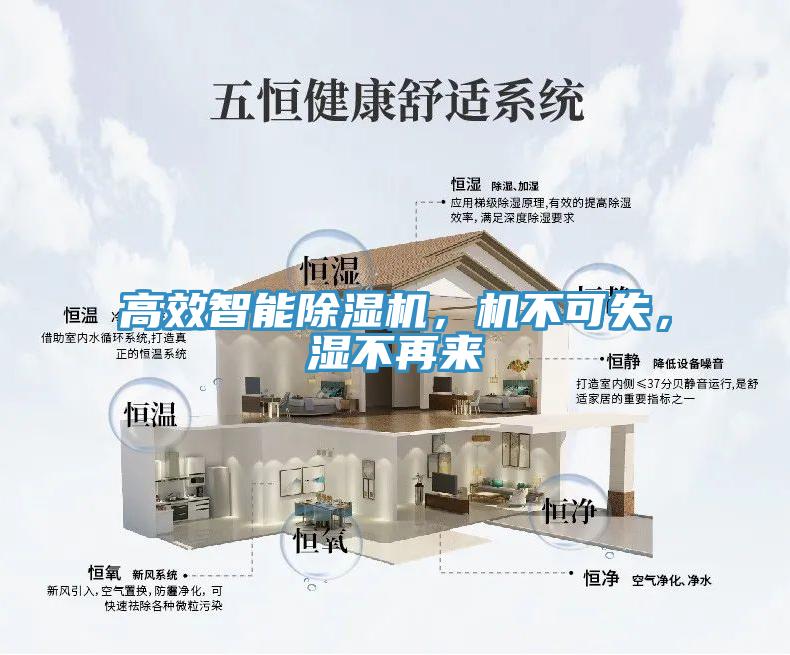 高效智能除濕機(jī)，機(jī)不可失，濕不再來(lái)