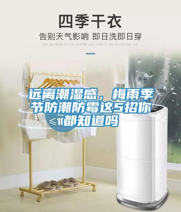 遠(yuǎn)離潮濕感，梅雨季節(jié)防潮防霉這5招你都知道嗎