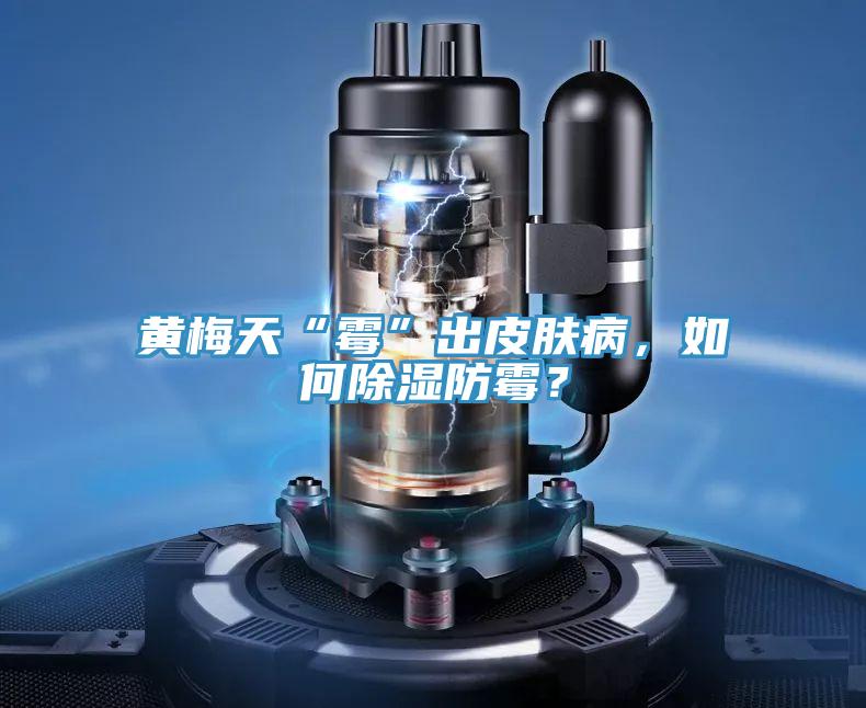 黃梅天“霉”出皮膚病，如何除濕防霉？