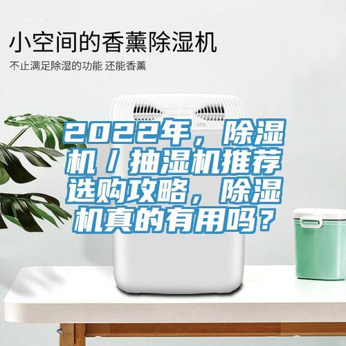 2022年，除濕機／抽濕機推薦選購攻略，除濕機真的有用嗎？