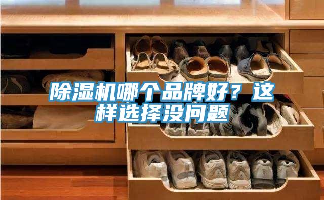 除濕機哪個品牌好？這樣選擇沒問題