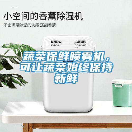蔬菜保鮮噴霧機(jī)，可讓蔬菜始終保持新鮮