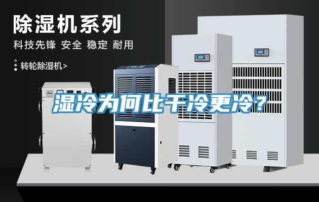 濕冷為何比干冷更冷？