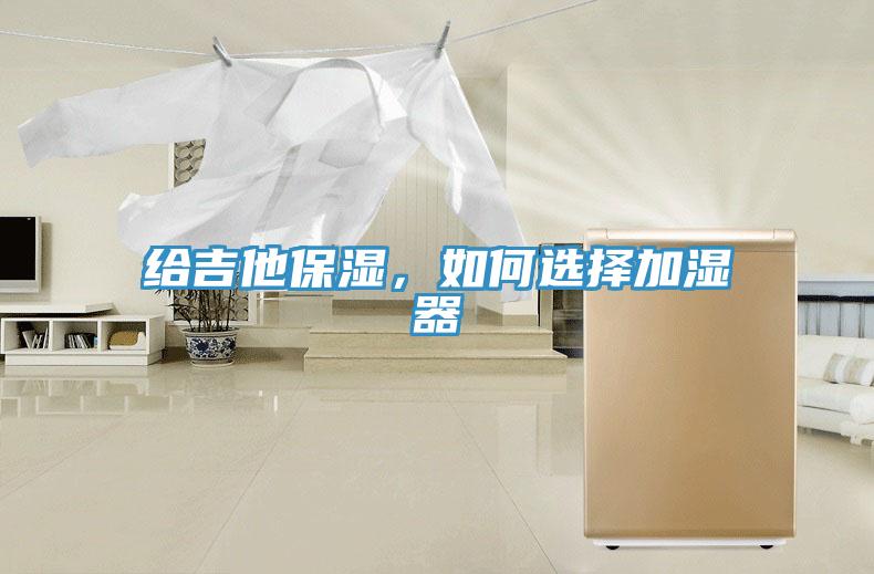 給吉他保濕，如何選擇加濕器