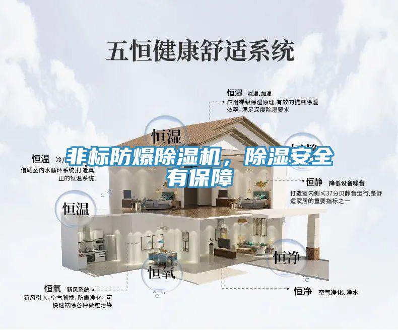 非標(biāo)防爆除濕機(jī)，除濕安全有保障