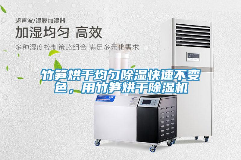 竹筍烘干均勻除濕快速不變色，用竹筍烘干除濕機
