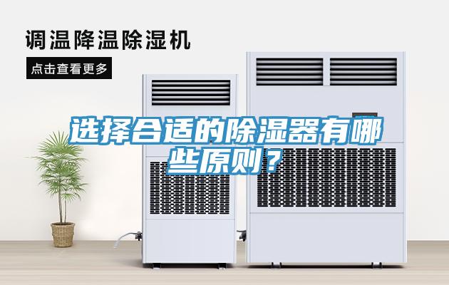 選擇合適的除濕器有哪些原則？
