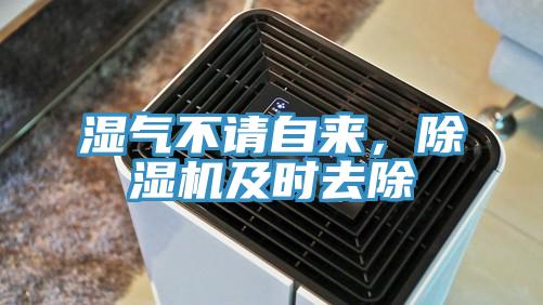 濕氣不請(qǐng)自來(lái)，除濕機(jī)及時(shí)去除
