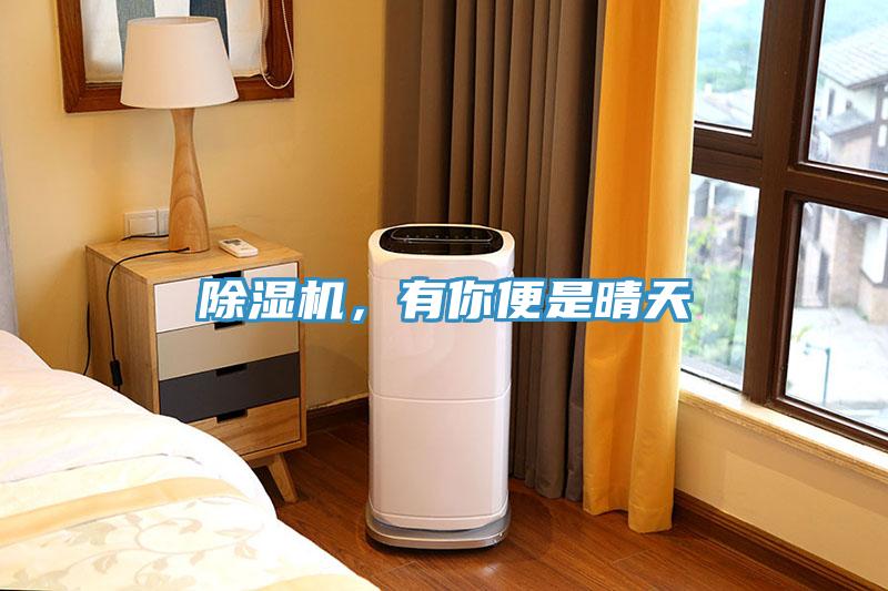 除濕機，有你便是晴天