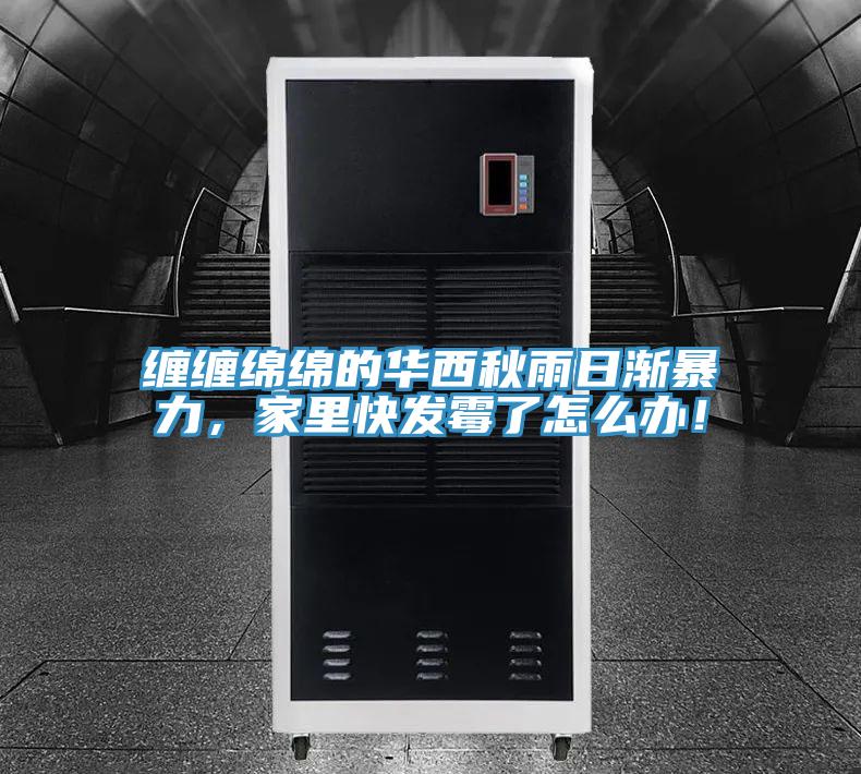 纏纏綿綿的華西秋雨日漸暴力，家里快發(fā)霉了怎么辦！