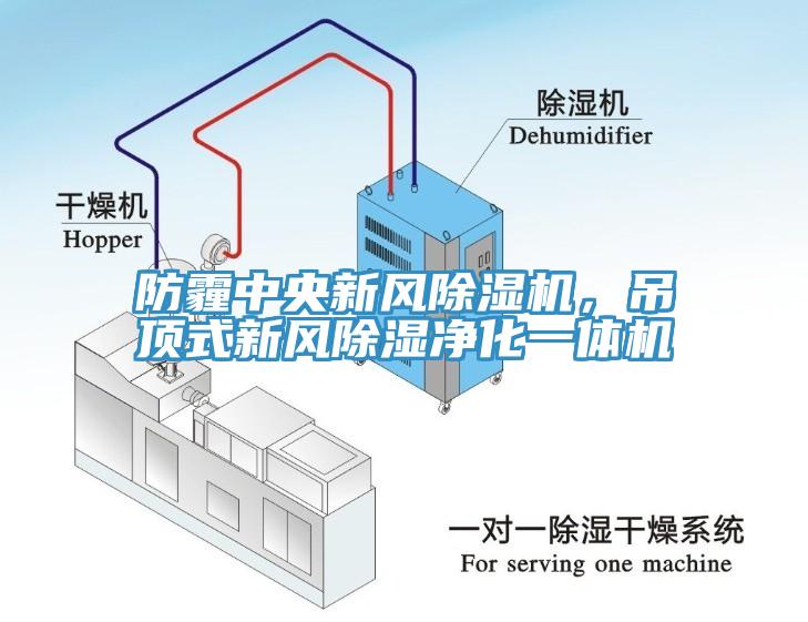 防霾中央新風除濕機，吊頂式新風除濕凈化一體機