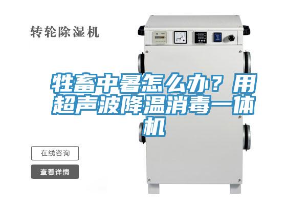 牲畜中暑怎么辦？用超聲波降溫消毒一體機(jī)