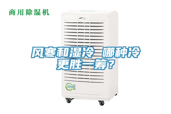 風(fēng)寒和濕冷 哪種冷更勝一籌？