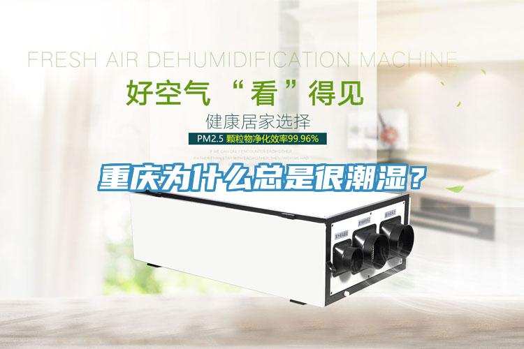 重慶為什么總是很潮濕？