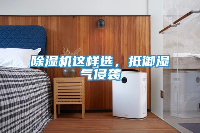 除濕機這樣選，抵御濕氣侵襲
