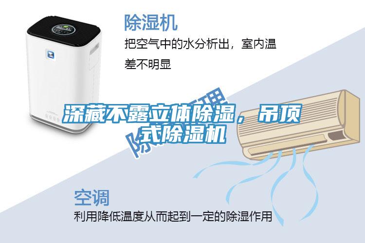 深藏不露立體除濕，吊頂式除濕機(jī)