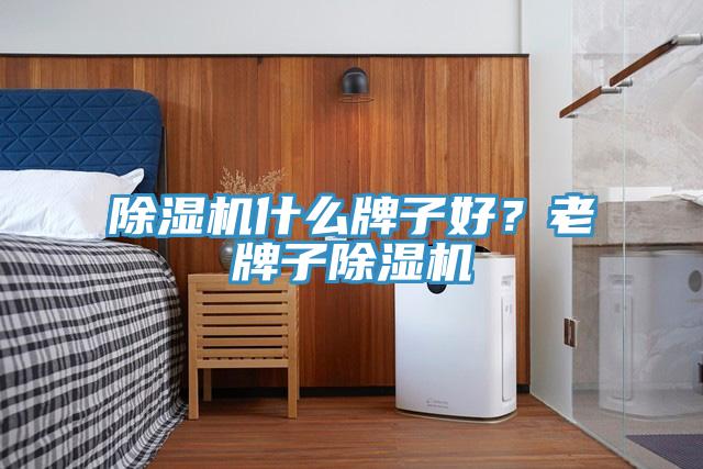 除濕機(jī)什么牌子好？老牌子除濕機(jī)