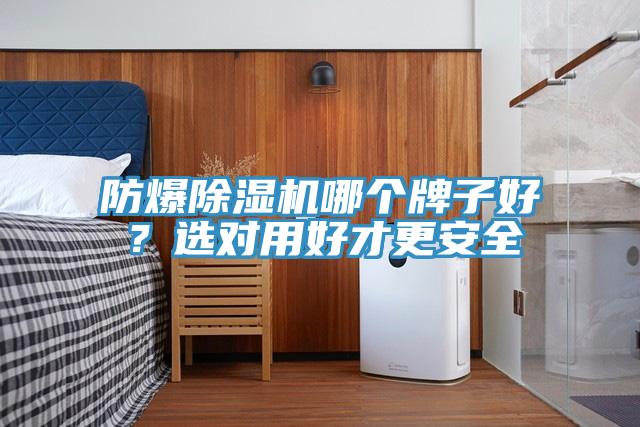 防爆除濕機(jī)哪個(gè)牌子好？選對(duì)用好才更安全