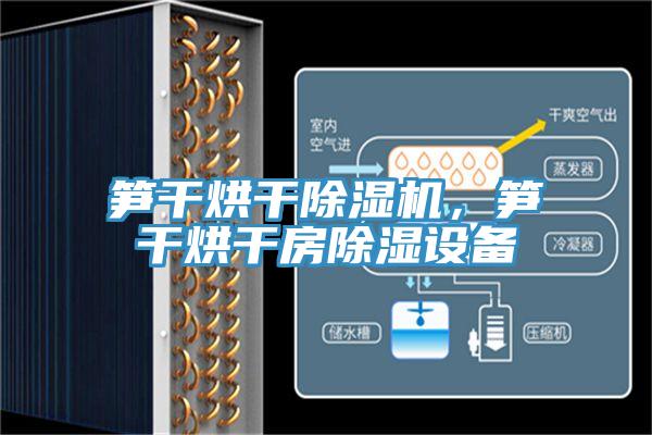 筍干烘干除濕機，筍干烘干房除濕設(shè)備