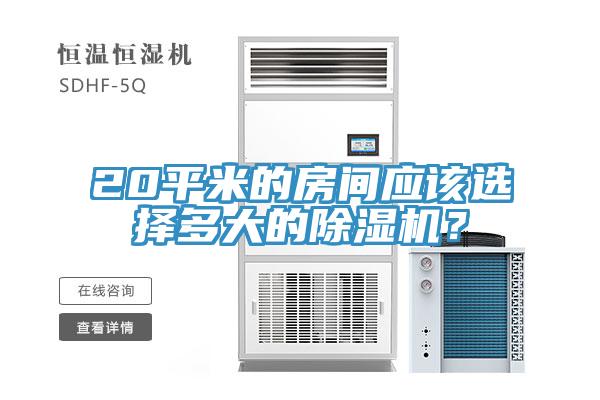 20平米的房間應(yīng)該選擇多大的除濕機(jī)？