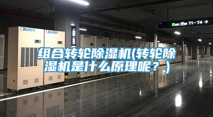組合轉(zhuǎn)輪除濕機(jī)(轉(zhuǎn)輪除濕機(jī)是什么原理呢？)