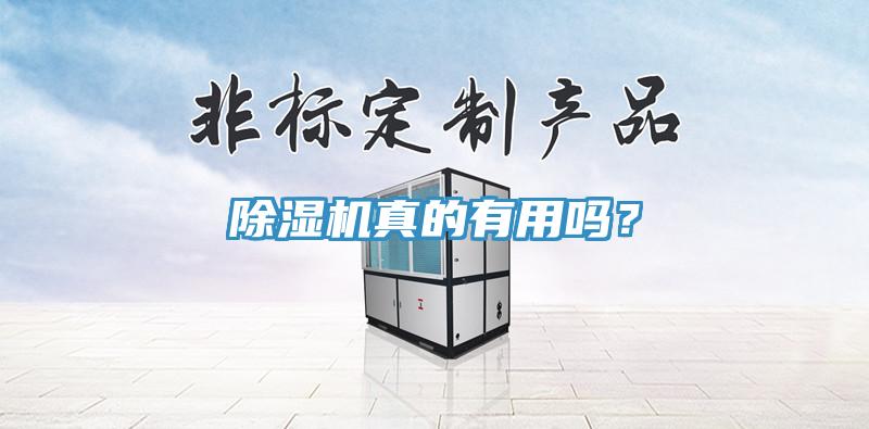 除濕機(jī)真的有用嗎？