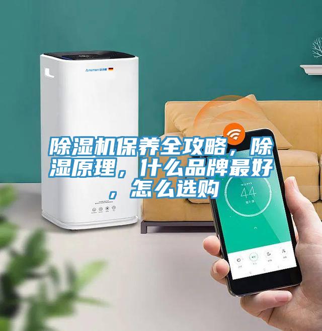 除濕機保養(yǎng)全攻略，除濕原理，什么品牌最好，怎么選購