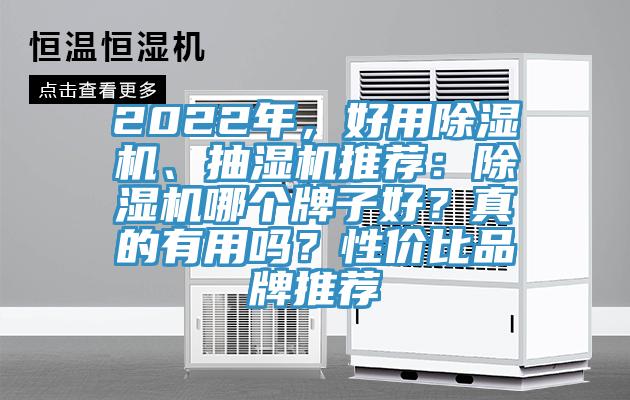 2022年，好用除濕機、抽濕機推薦：除濕機哪個牌子好？真的有用嗎？性價比品牌推薦