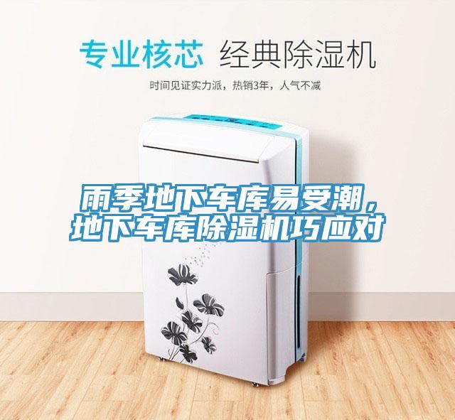 雨季地下車庫易受潮，地下車庫除濕機(jī)巧應(yīng)對(duì)