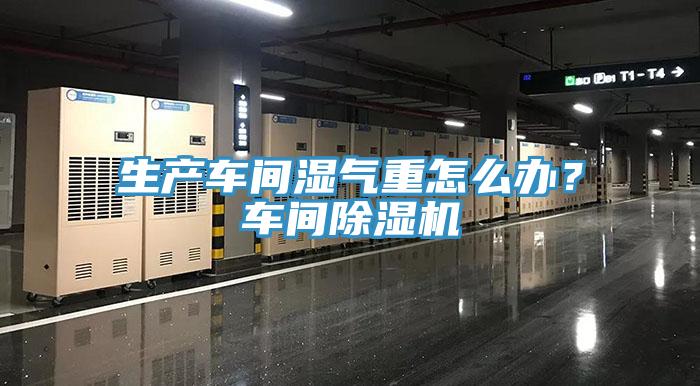 生產(chǎn)車間濕氣重怎么辦？車間除濕機(jī)