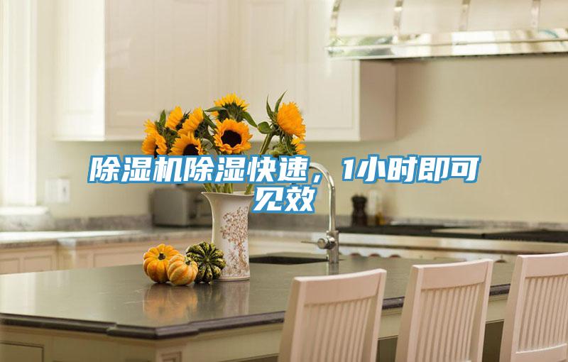 除濕機除濕快速，1小時即可見效