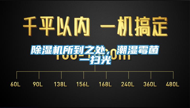 除濕機(jī)所到之處，潮濕霉菌一掃光