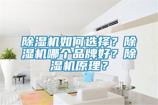 除濕機如何選擇？除濕機哪個品牌好？除濕機原理？