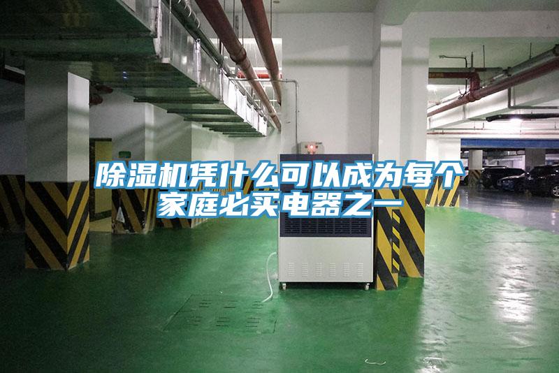 除濕機(jī)憑什么可以成為每個家庭必買電器之一