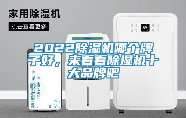 2022除濕機哪個牌子好，來看看除濕機十大品牌吧
