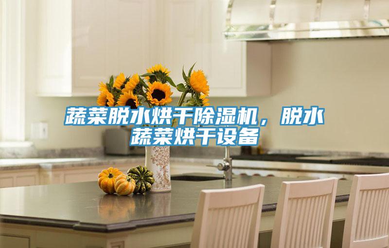 蔬菜脫水烘干除濕機(jī)，脫水蔬菜烘干設(shè)備