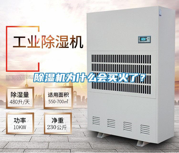 除濕機(jī)為什么會(huì)買火了？