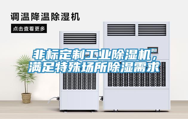 非標(biāo)定制工業(yè)除濕機(jī)，滿足特殊場(chǎng)所除濕需求