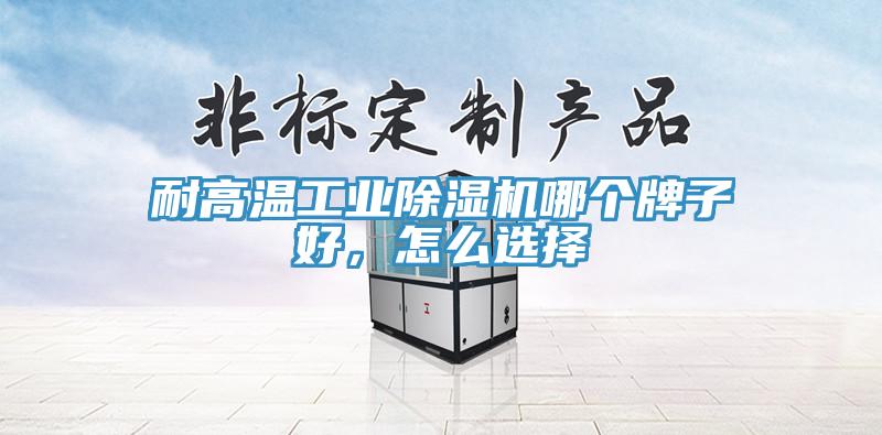 耐高溫工業(yè)除濕機(jī)哪個牌子好，怎么選擇