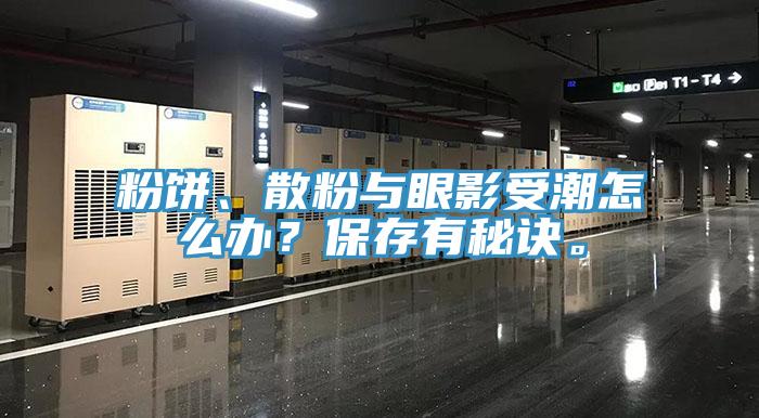 粉餅、散粉與眼影受潮怎么辦？保存有秘訣。