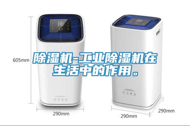 除濕機(jī)-工業(yè)除濕機(jī)在生活中的作用。