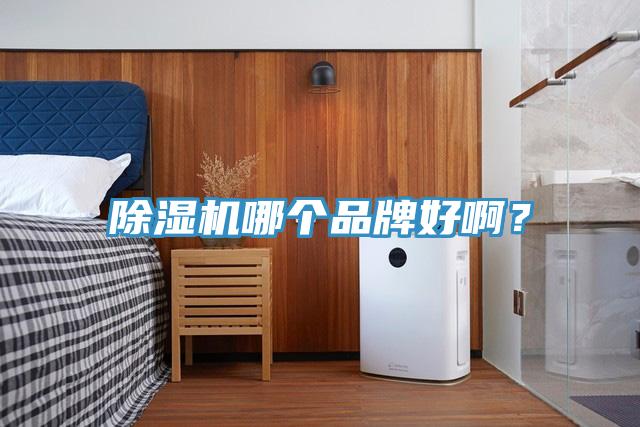 除濕機(jī)哪個(gè)品牌好???