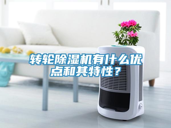 轉(zhuǎn)輪除濕機(jī)有什么優(yōu)點(diǎn)和其特性？
