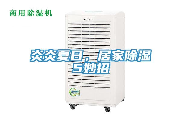 炎炎夏日，居家除濕5妙招