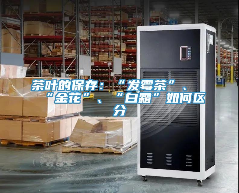 茶葉的保存：“發(fā)霉茶”、“金花”、“白霜”如何區(qū)分