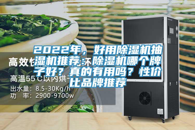 2022年，好用除濕機抽濕機推薦：除濕機哪個牌子好？真的有用嗎？性價比品牌推薦