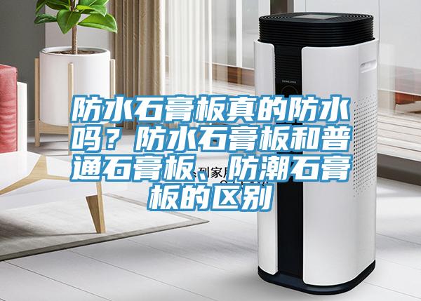 防水石膏板真的防水嗎？防水石膏板和普通石膏板、防潮石膏板的區(qū)別