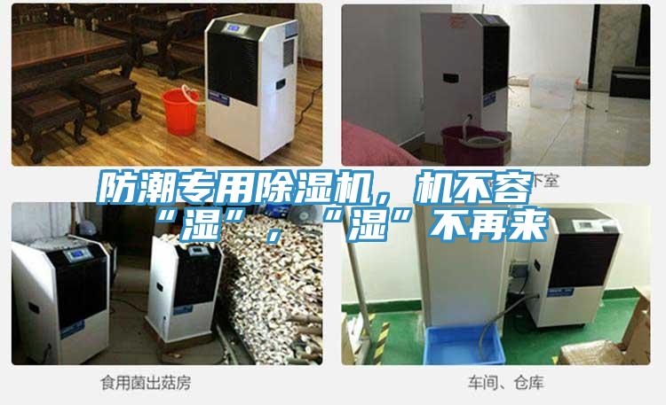 防潮專用除濕機(jī)，機(jī)不容“濕”，“濕”不再來