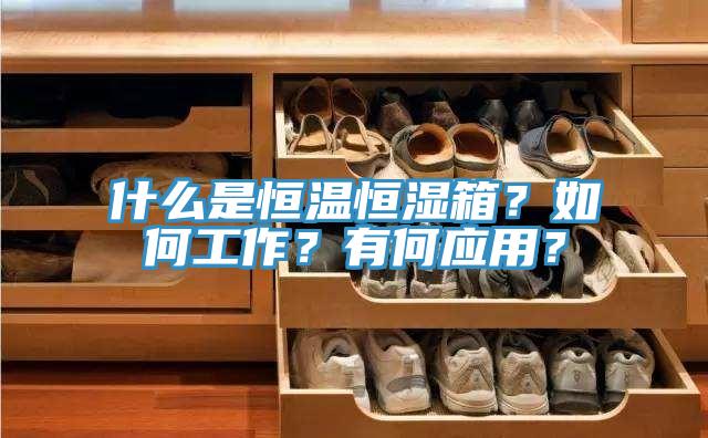 什么是恒溫恒濕箱？如何工作？有何應(yīng)用？